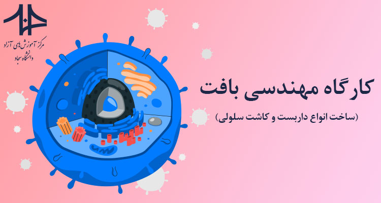 کارگاه مهندسی بافت (پزشکی بازساختی)